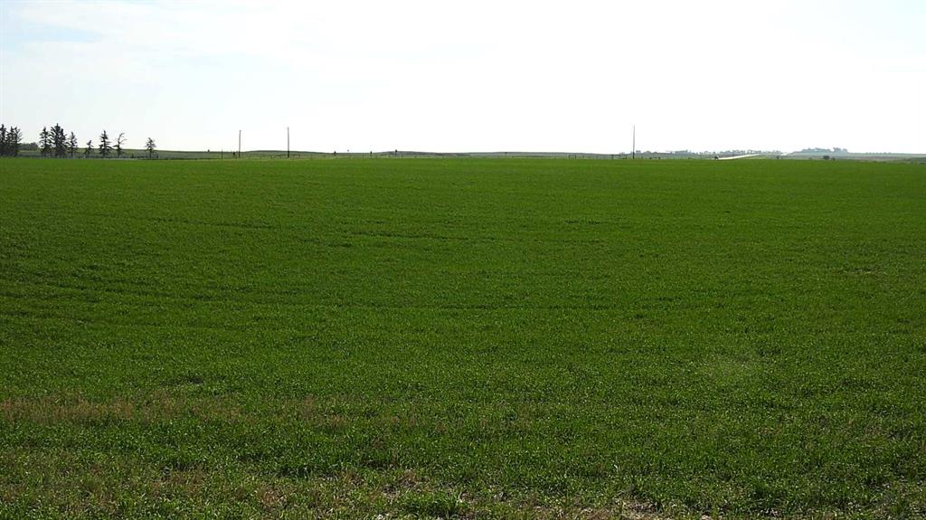Listing A2081265 - Large Photo # 16