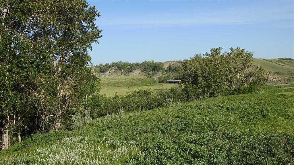 Listing A2081265 - Large Photo # 4