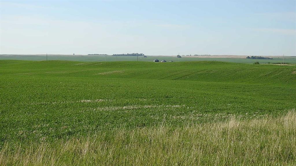 Listing A2081292 - Large Photo # 7