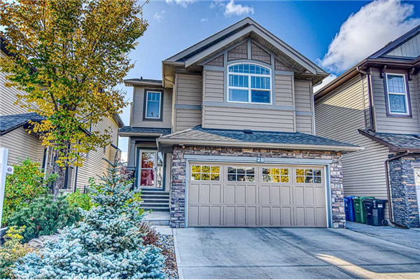 28 skyview springs Crescent NE, Calgary