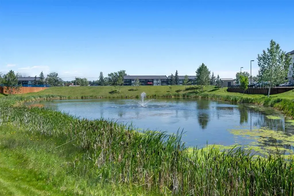 304 Mackenzie Way SW, #8225
