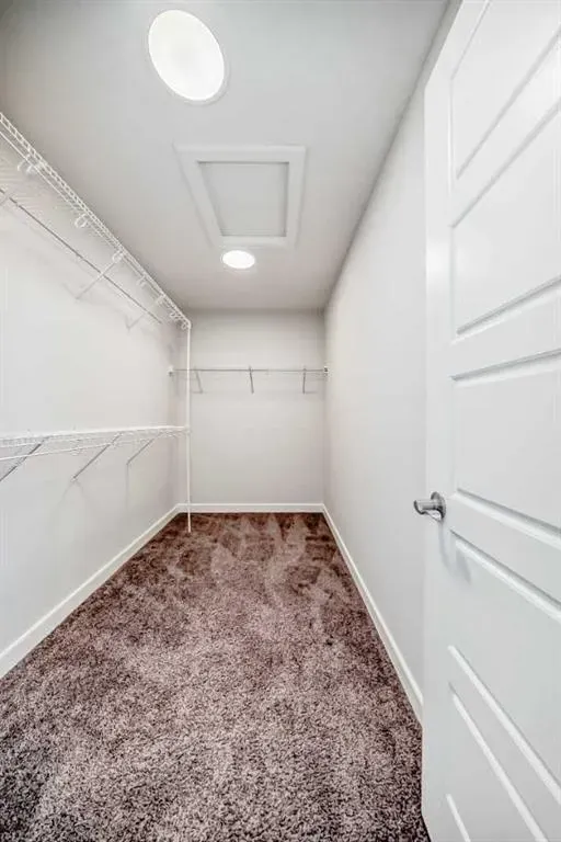416 Legacy View SE