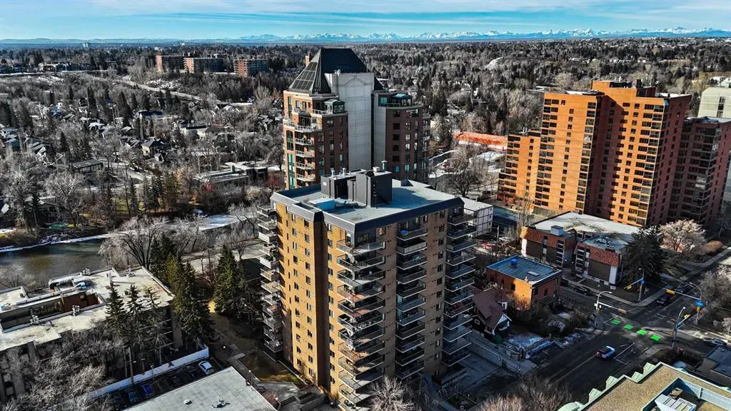 225 25 Avenue SW, #1006