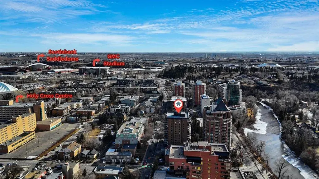 225 25 Avenue SW, #1006
