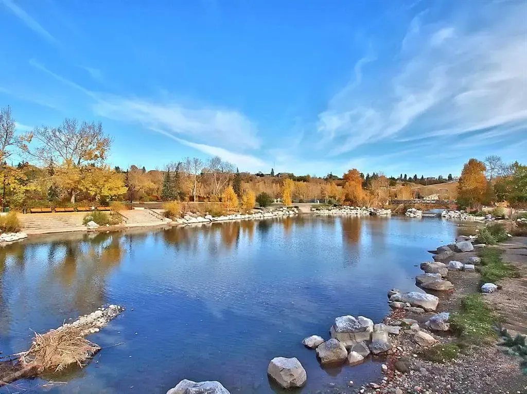 930 6 Avenue SW, #2404