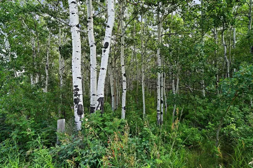 211 Aspen Stone Boulevard SW, #1212