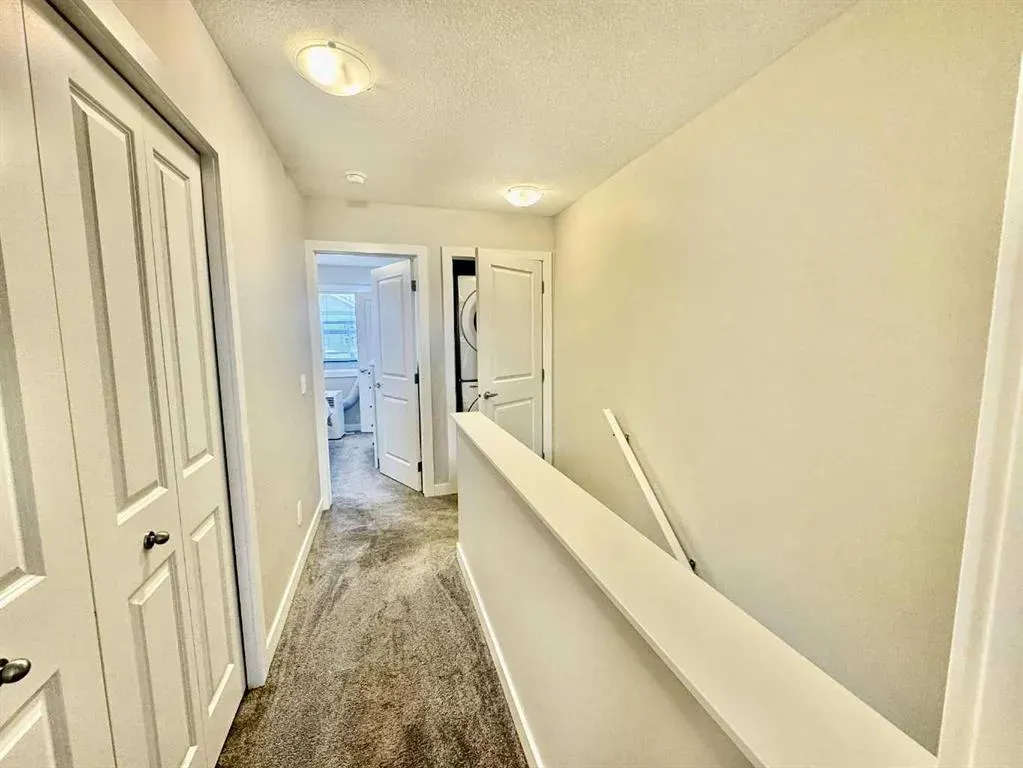 257 Legacy Common SE