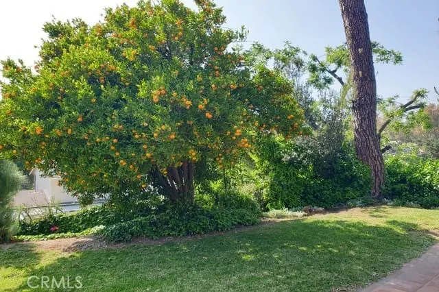 1355 Paseo Dorado