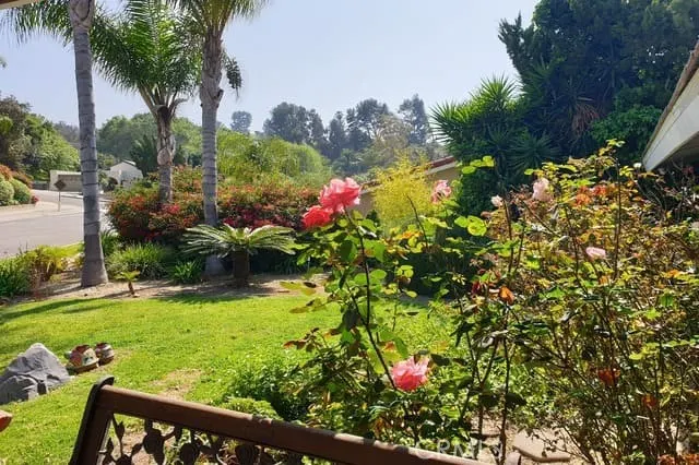 1355 Paseo Dorado