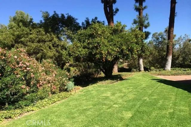 1355 Paseo Dorado