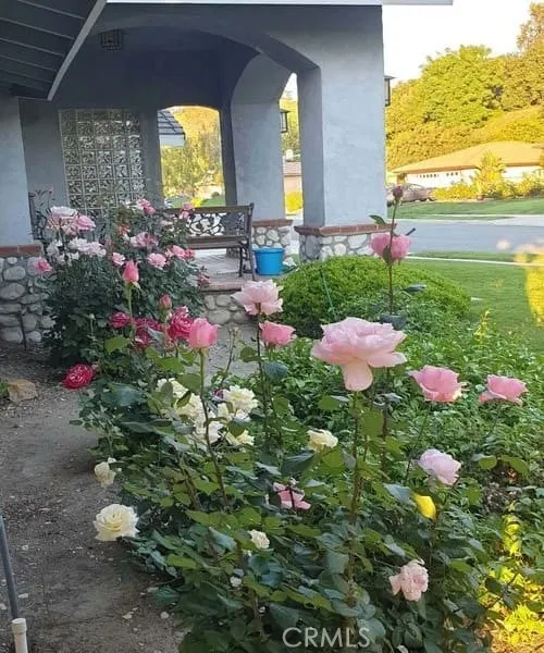 1355 Paseo Dorado