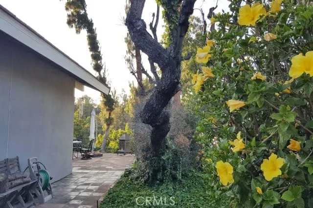 1355 Paseo Dorado