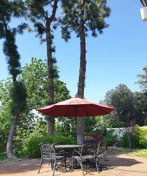 1355 Paseo Dorado
