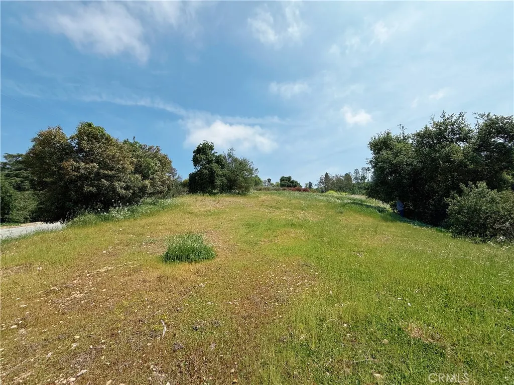 1826 Bluebird Road
