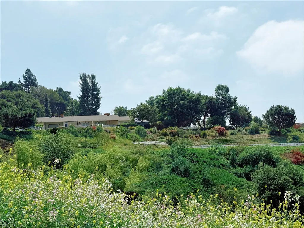 1826 Bluebird Road
