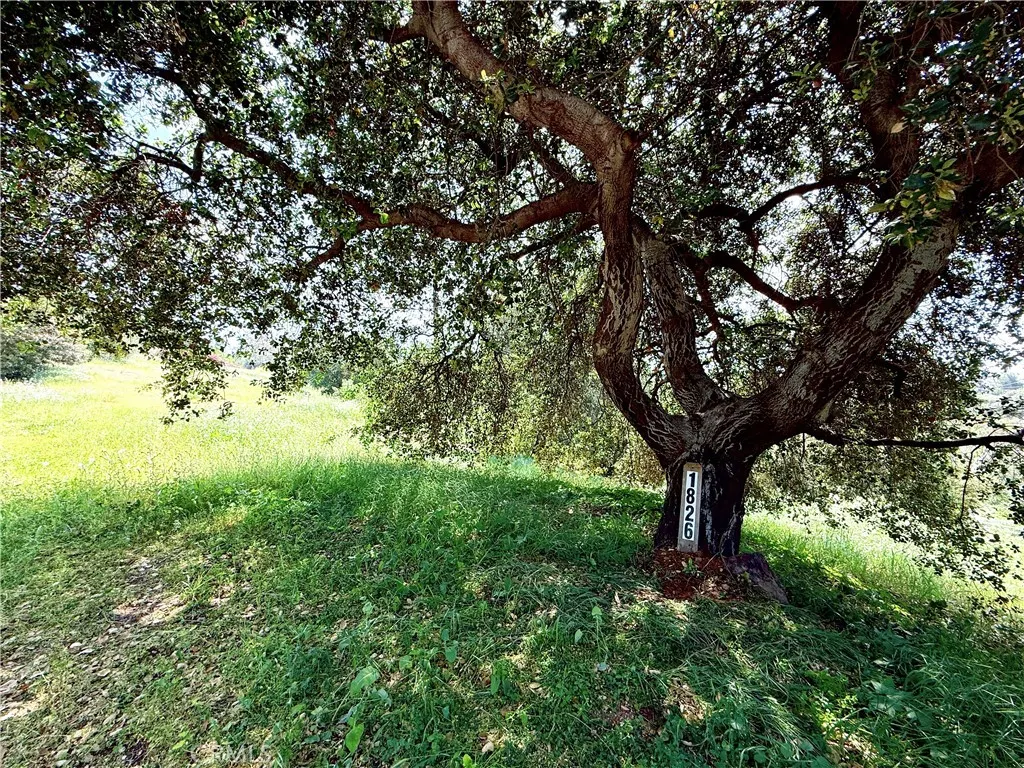1826 Bluebird Road
