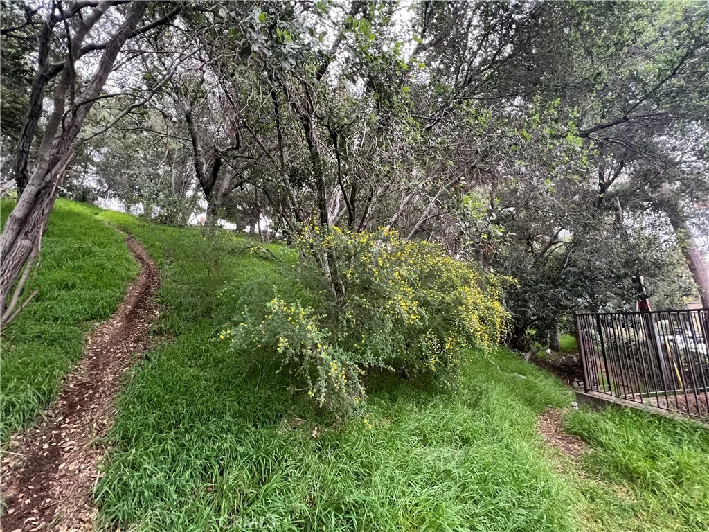 28 Oak Canyon Rd