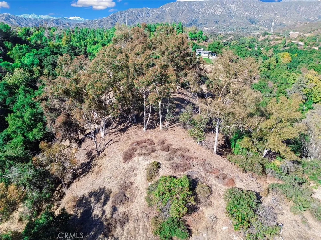 0 Live Oak Canyon Road