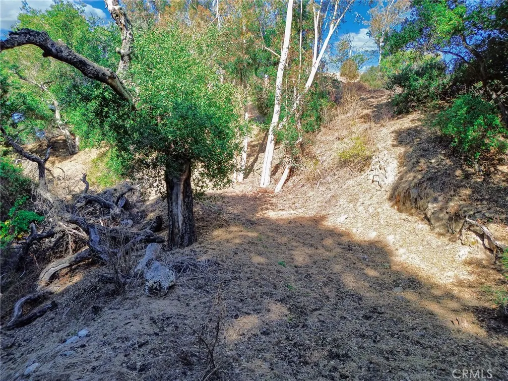 0 Live Oak Canyon Road