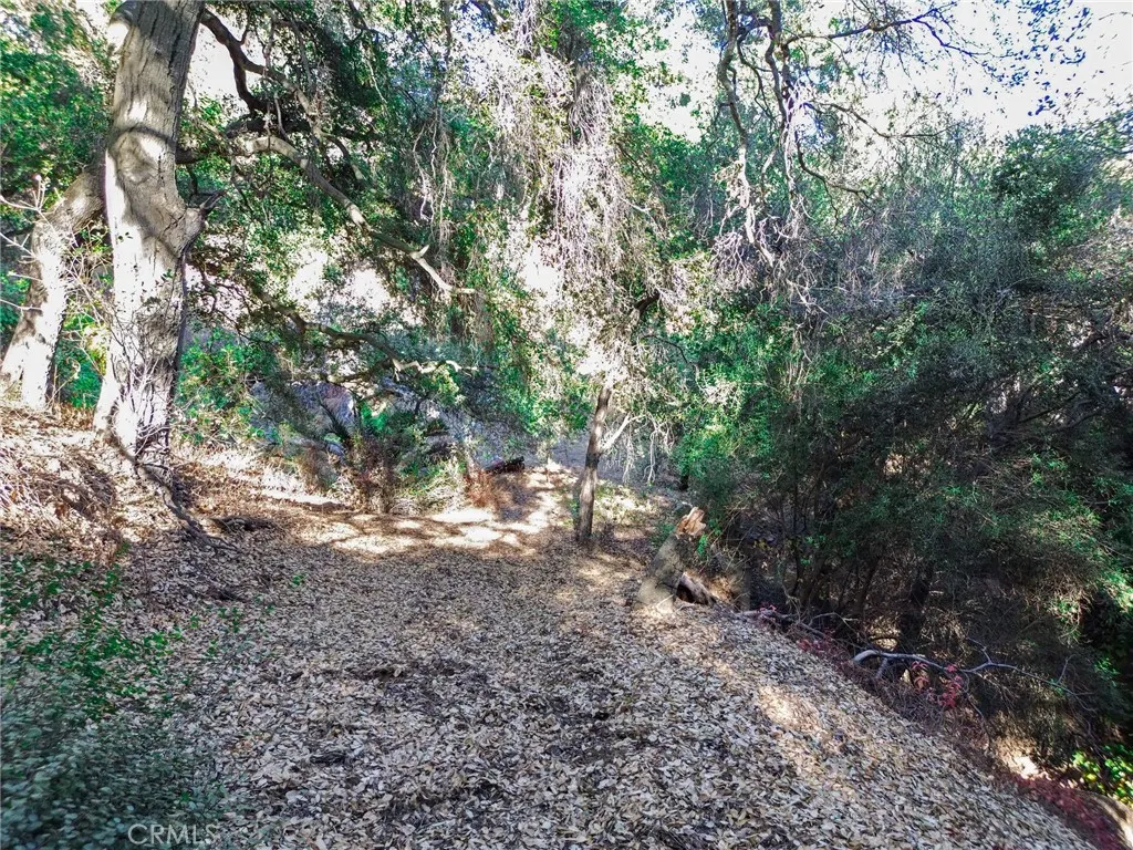 0 Live Oak Canyon Road