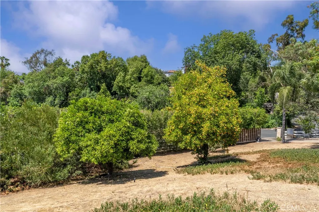 950 S Spring Meadow Drive