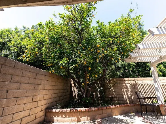 909 Shady Lane
