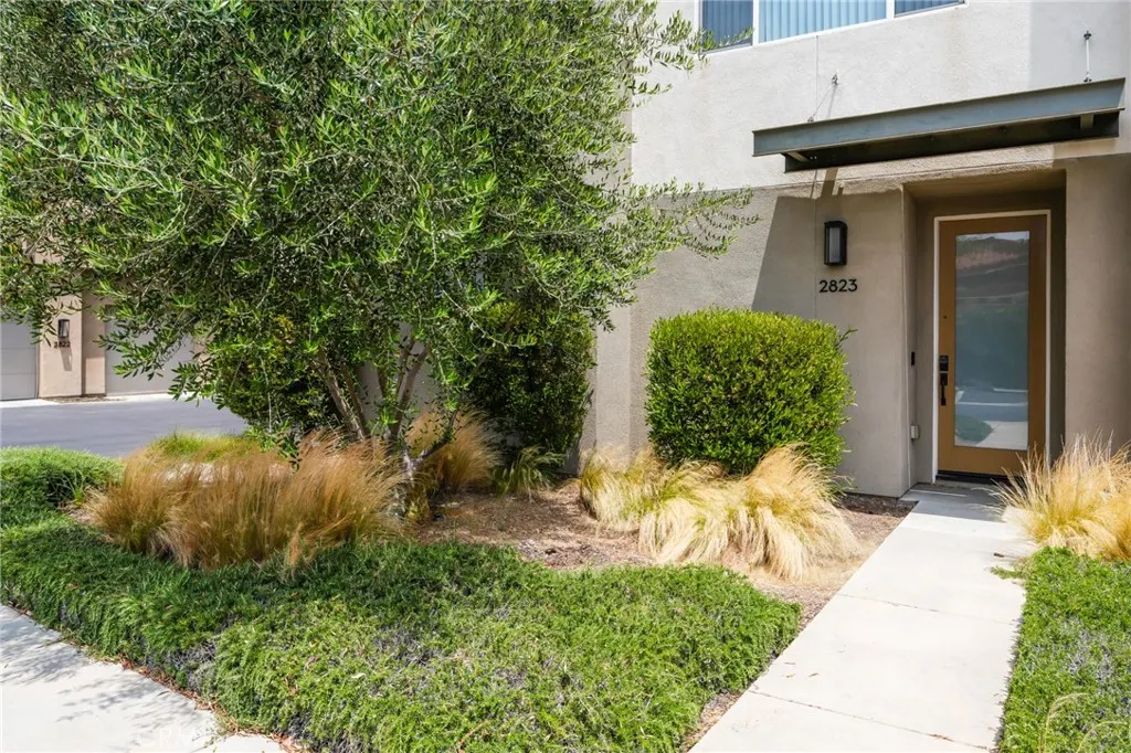 2823 Lily Lane