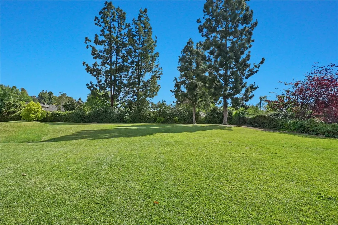 3658 Ivory Lane