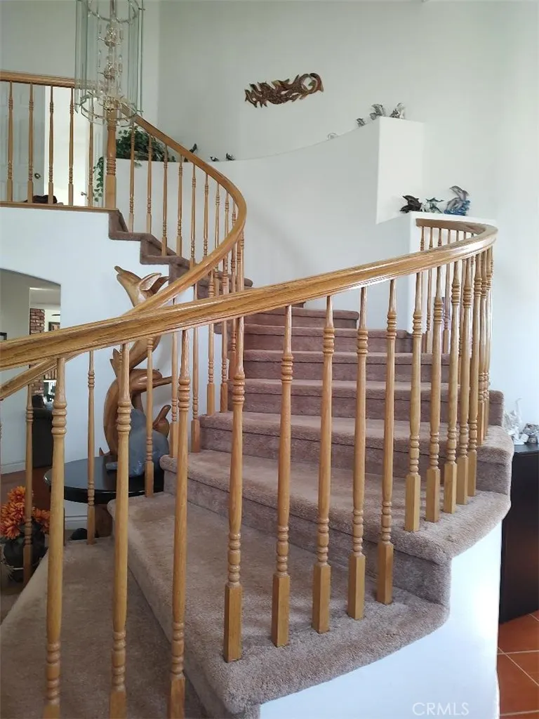3747 Palomino Place