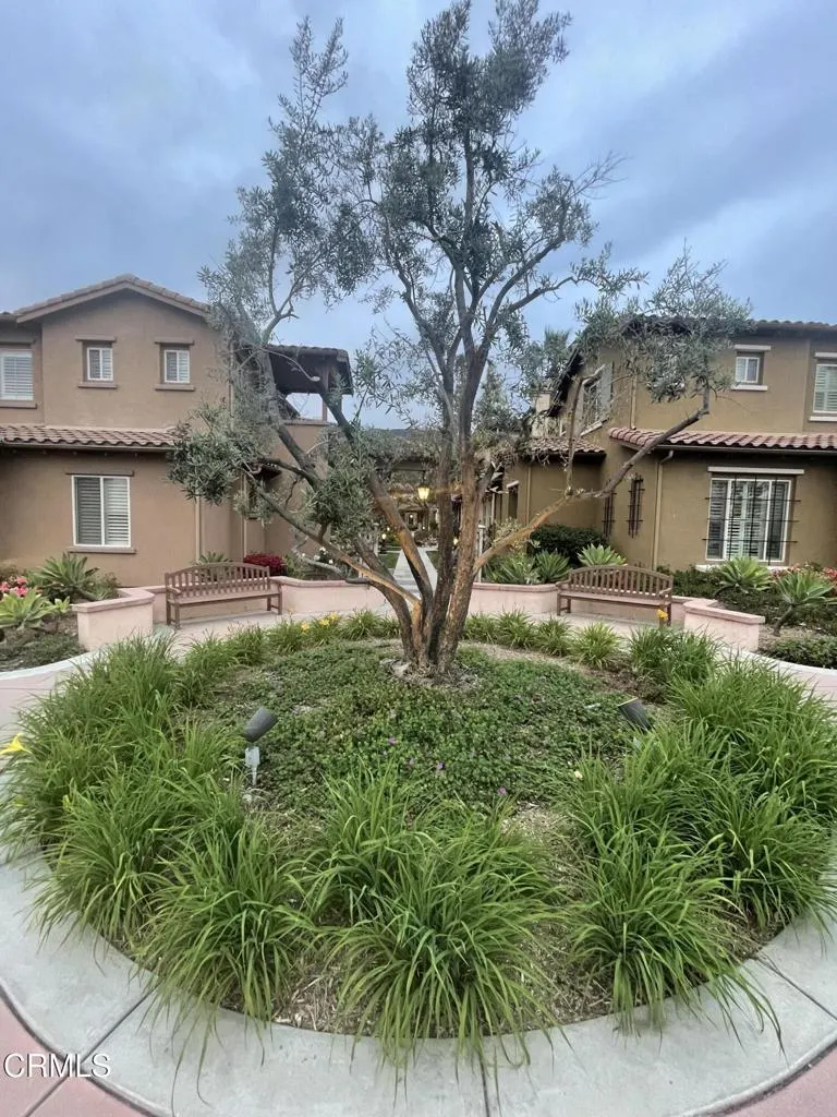 1117 Patel Place