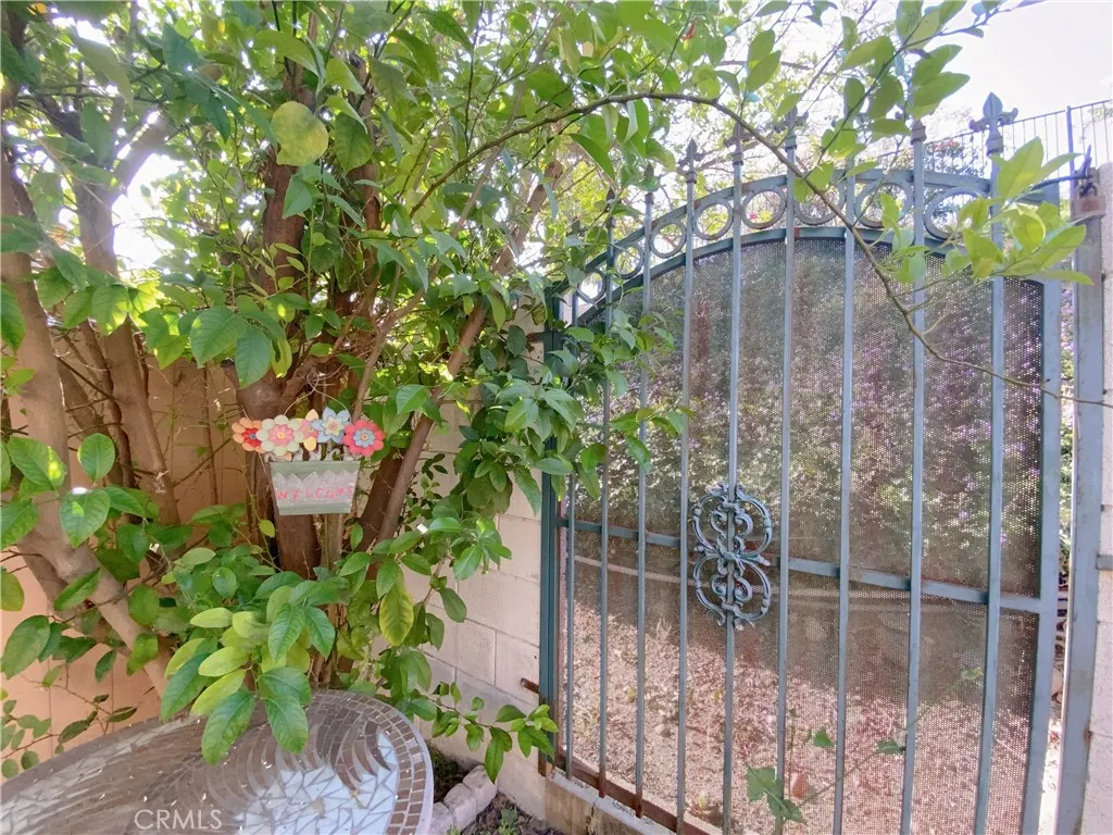 1911 E Calico Drive