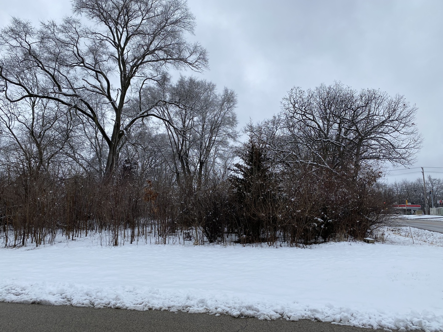 411 N Lily Lake Road IL