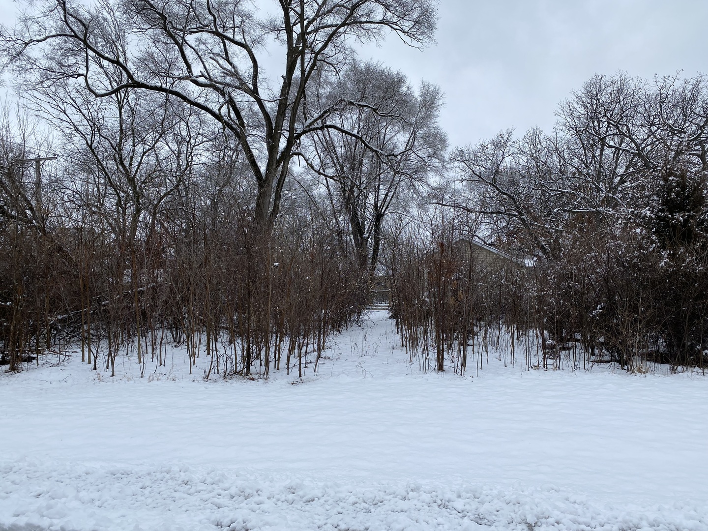 411 N Lily Lake Road IL