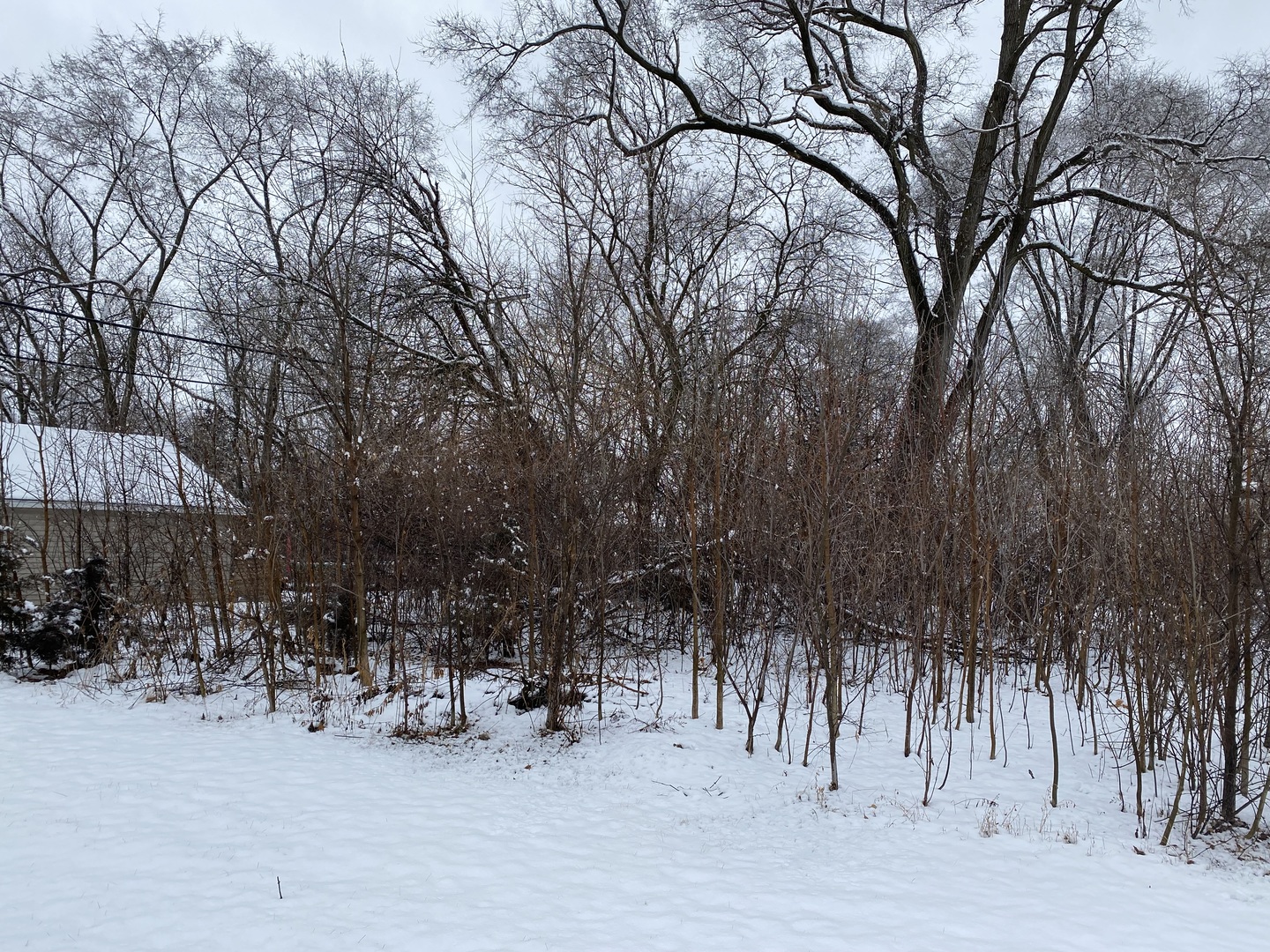 411 N Lily Lake Road IL