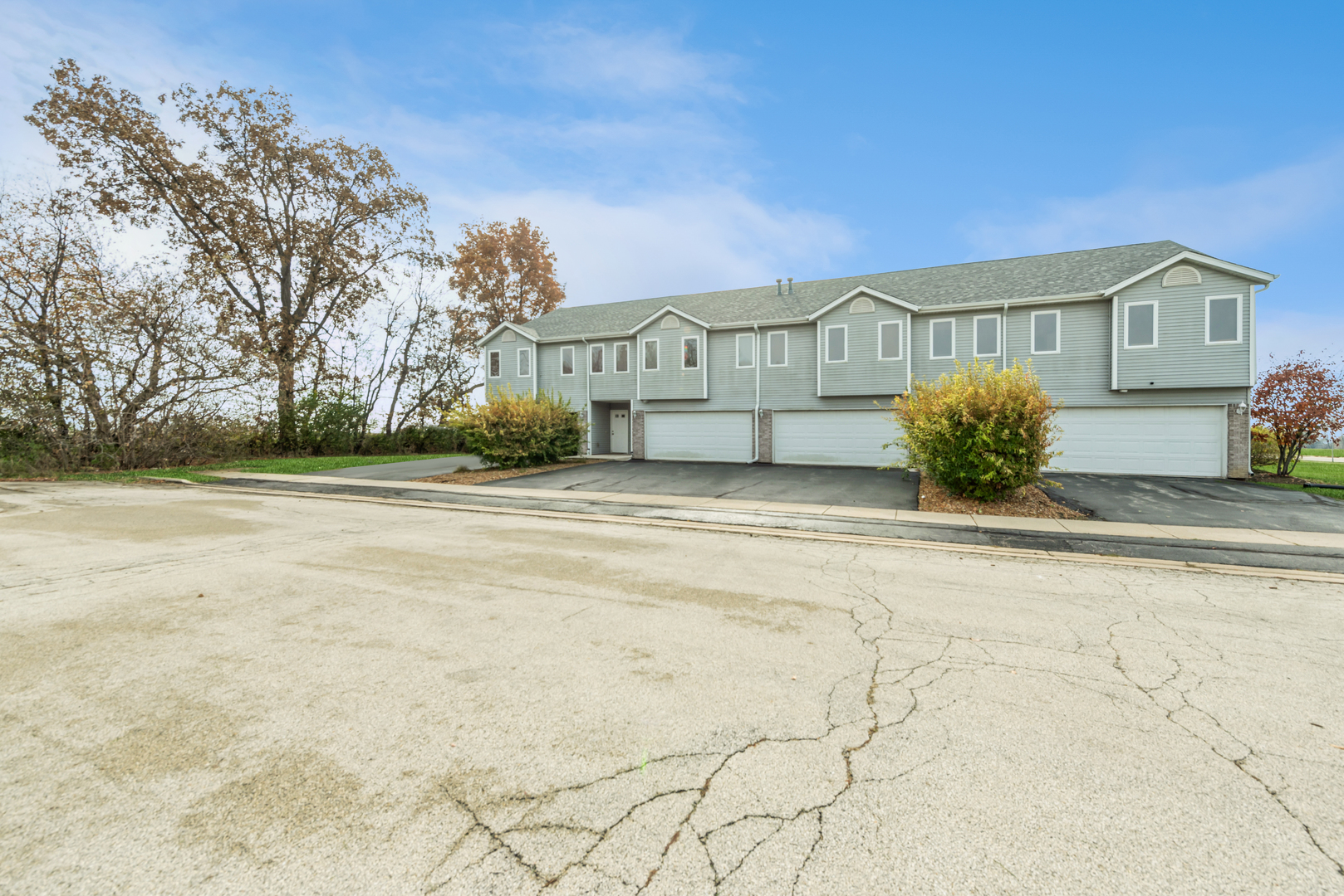 4423 MENGE Lane 4423 IL, #4423