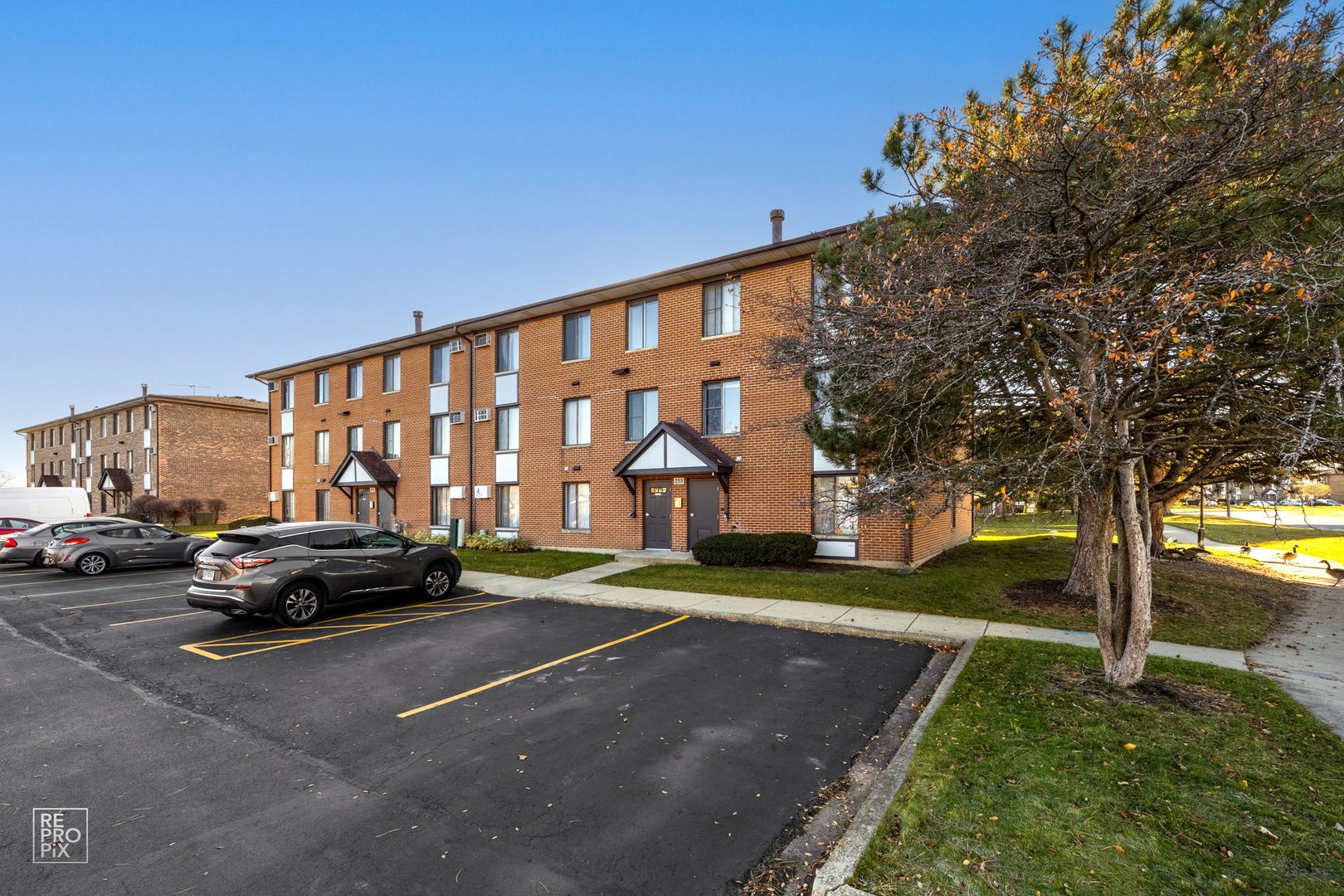255 Gregory Street 9 IL, #9