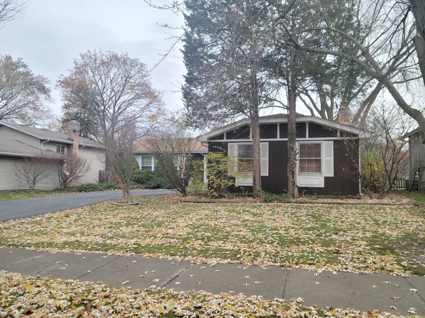 1636 Swallow Street IL