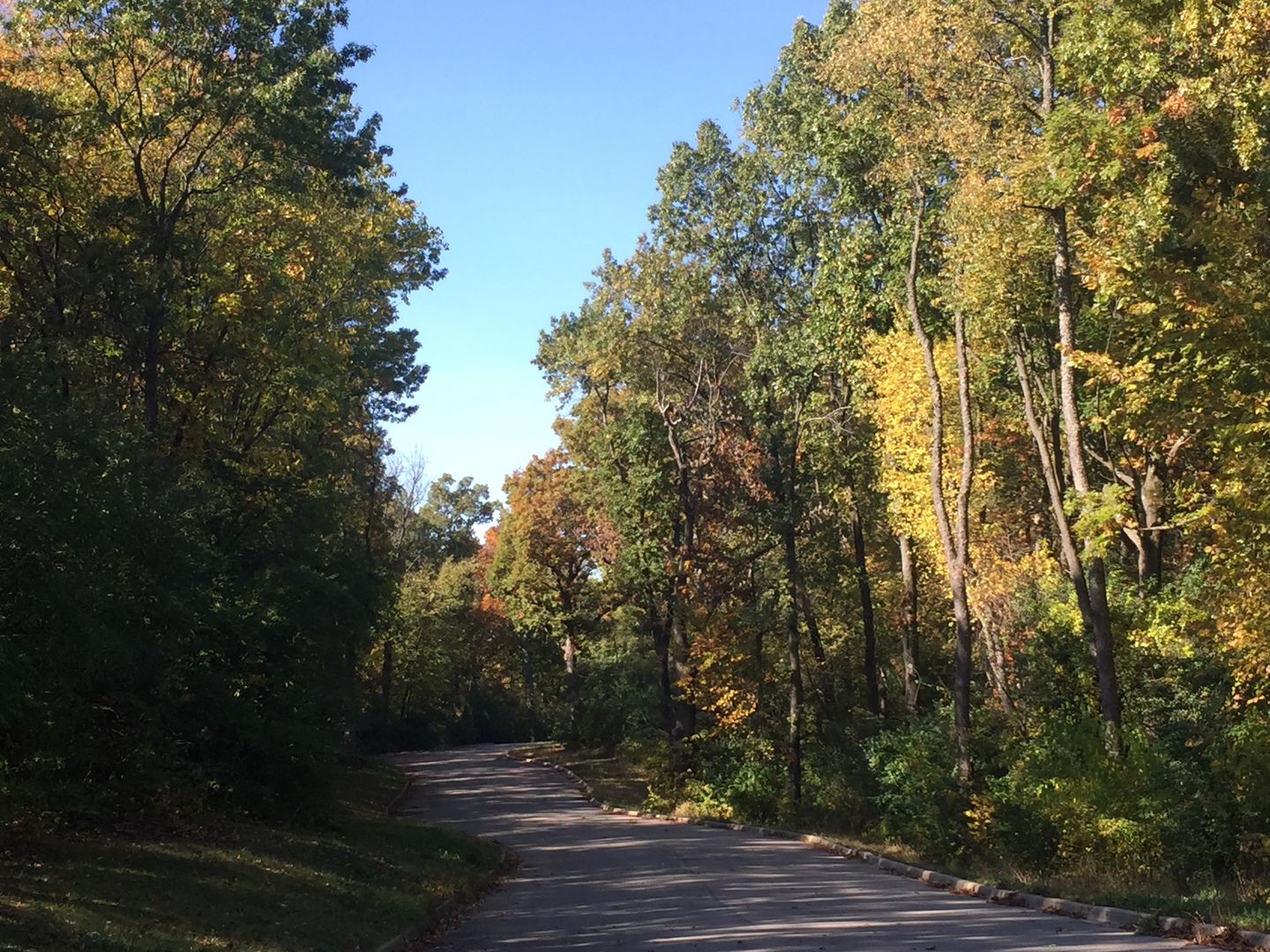 7111 Forest Oak Drive IL