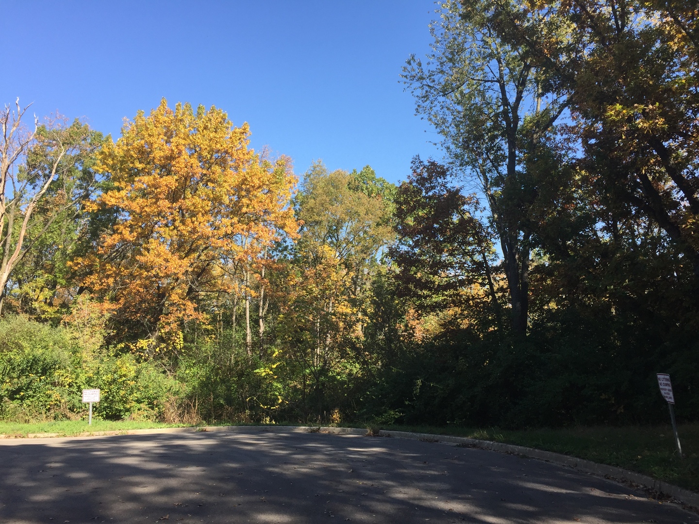 7111 Forest Oak Drive IL