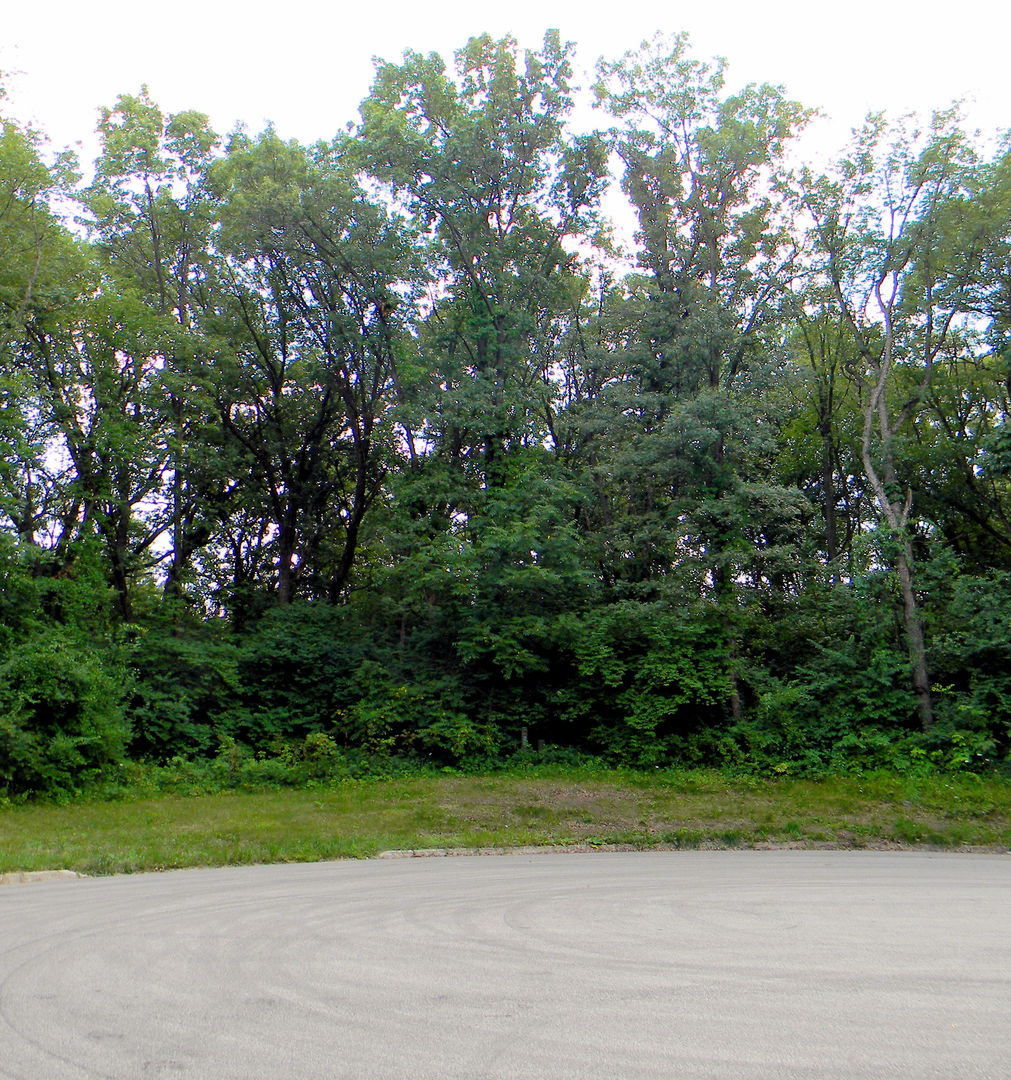 7111 Forest Oak Drive IL
