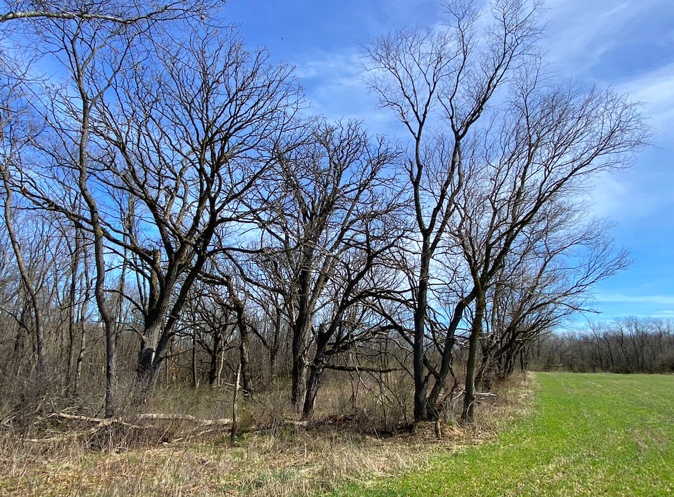 0 Broadway Street IL
