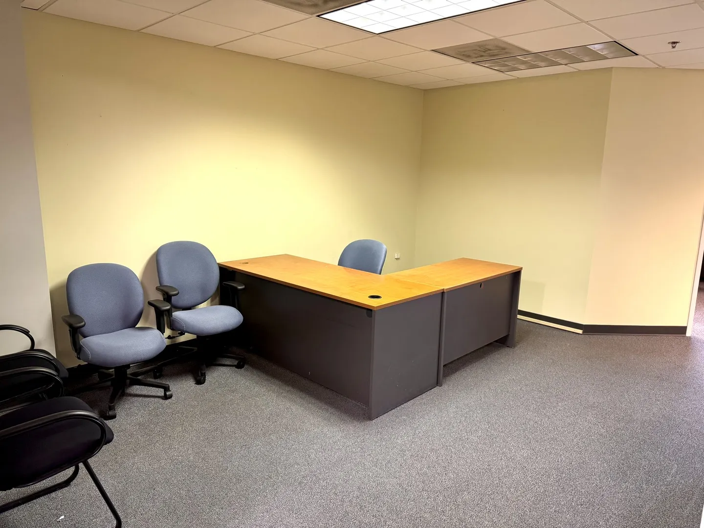 10700 W Higgins Road 230 IL