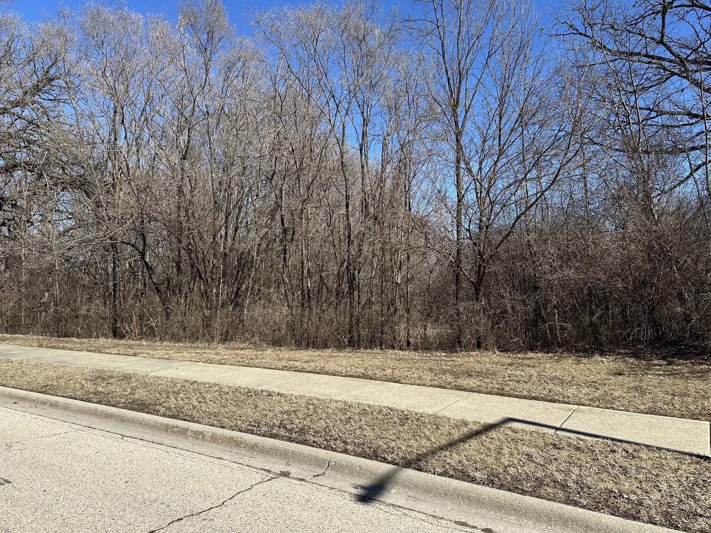 1702 Oak Drive IL
