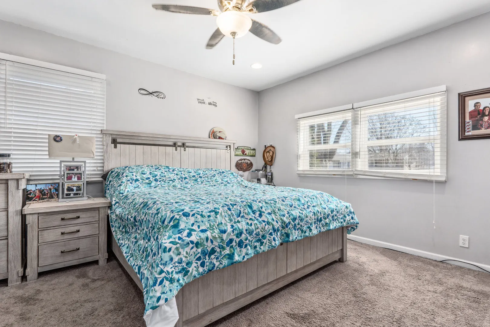 317 Mohawk Drive IL