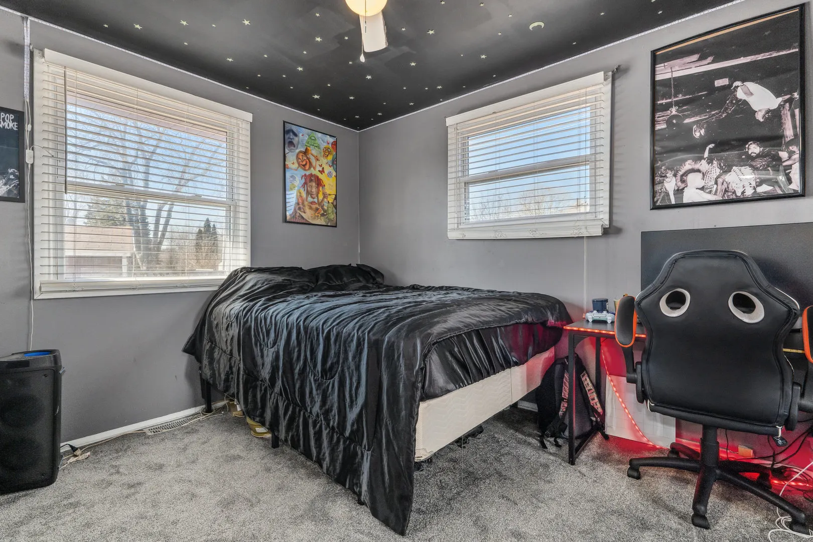 317 Mohawk Drive IL