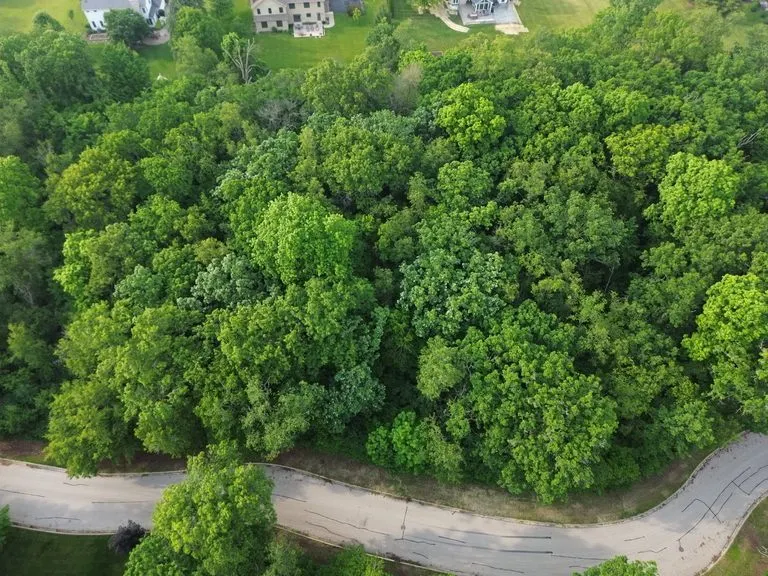 7408 Forest Oak Drive IL