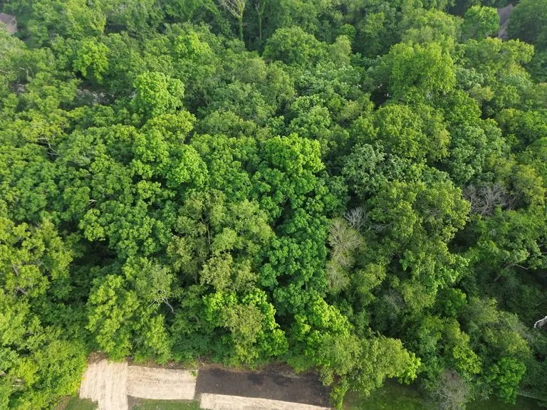 7408 Forest Oak Drive IL