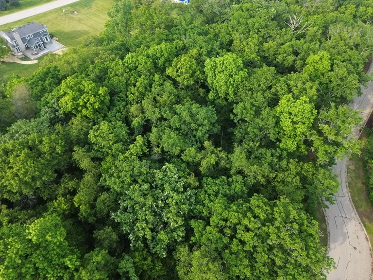 7402 Forest Oak Drive IL