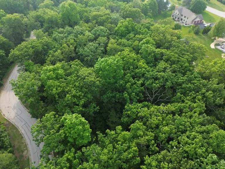 7402 Forest Oak Drive IL