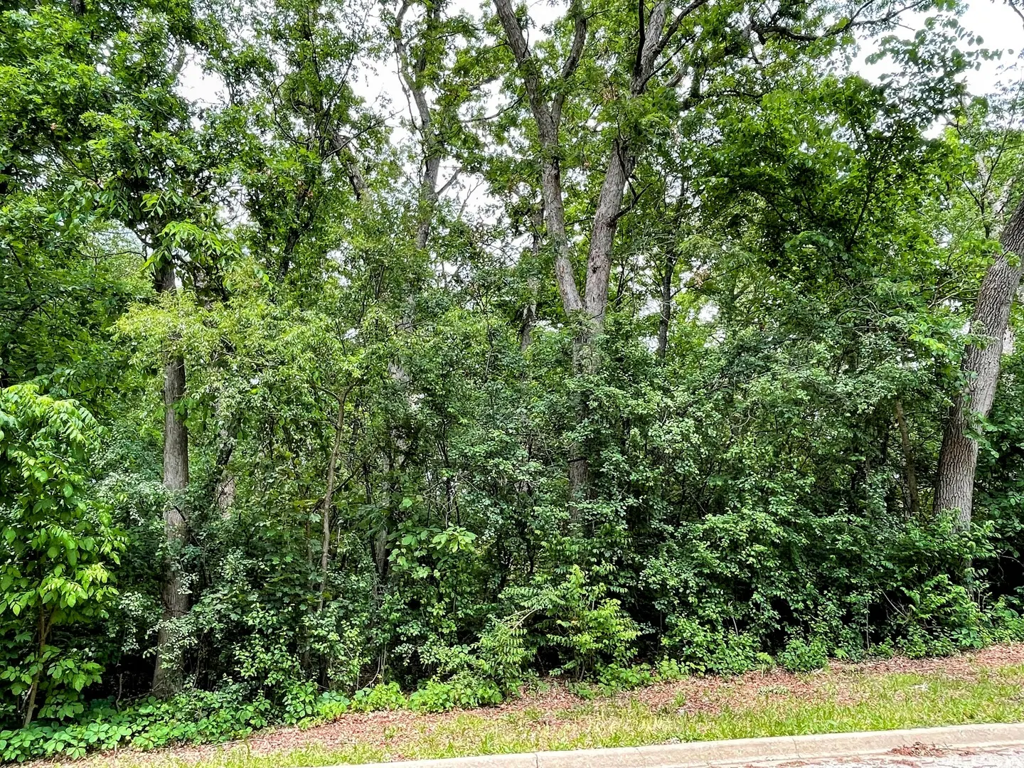 7402 Forest Oak Drive IL